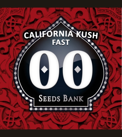 California Kush fast - 00 SEEDS BANK
