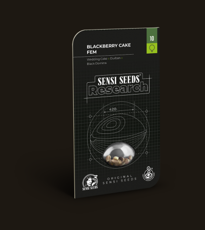 SENSI SEEDS - Blackberry Cake