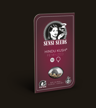 SENSI SEEDS - Hindu Kush